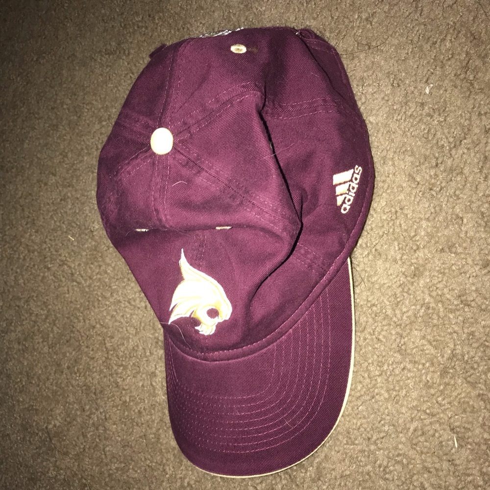 Texas State Hat
